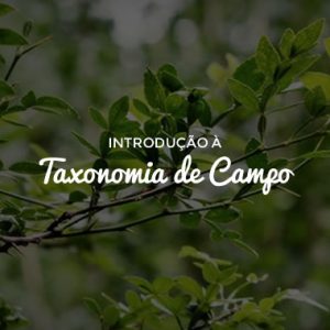 Introdução à Taxonomia de Campo